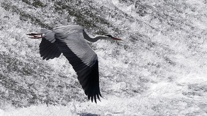 El tiempo - Lluvias, algunas fuertes, en extremo oeste peninsular