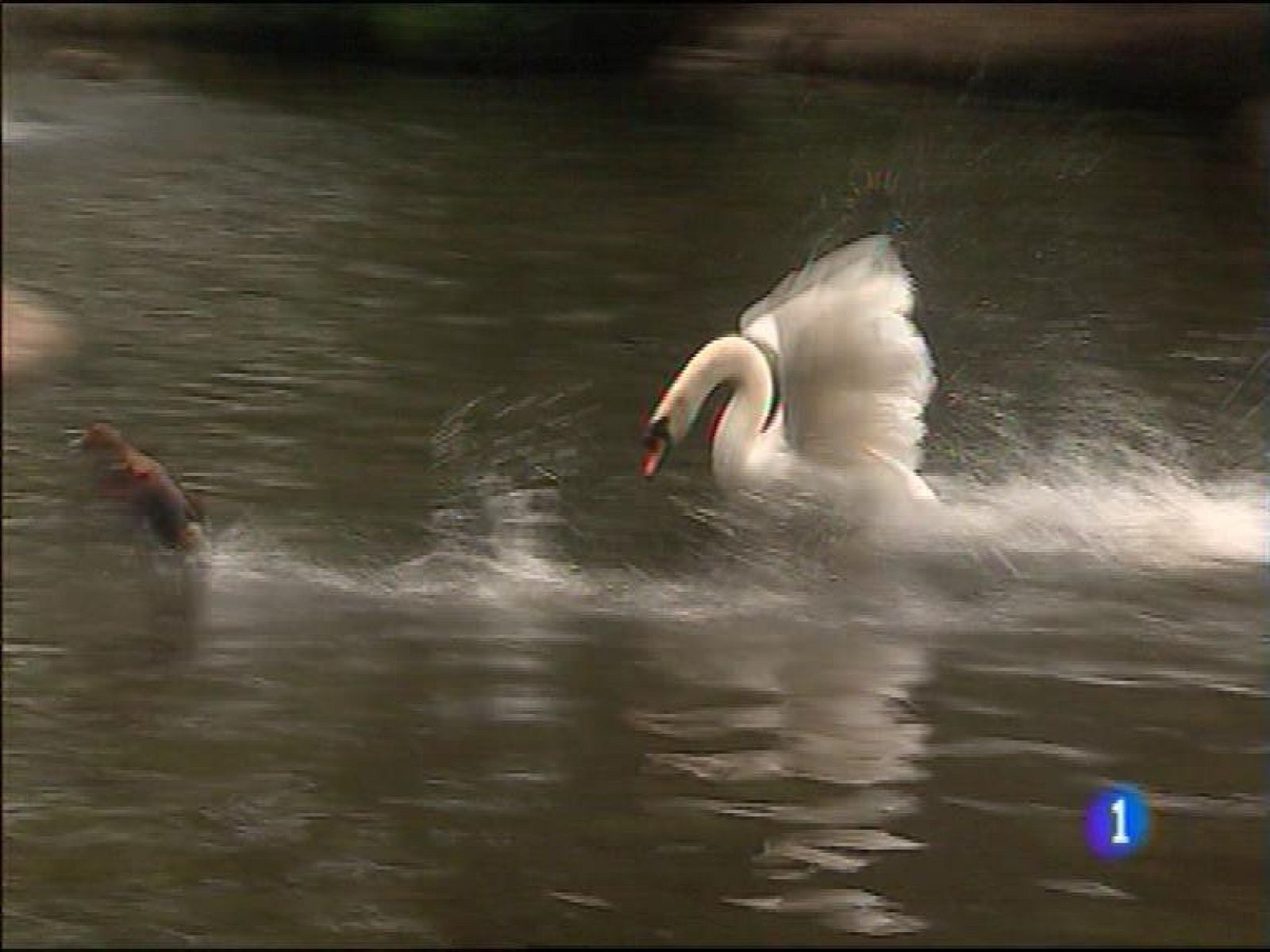 Panorama Regional 2 - 05/05/16 | Ver