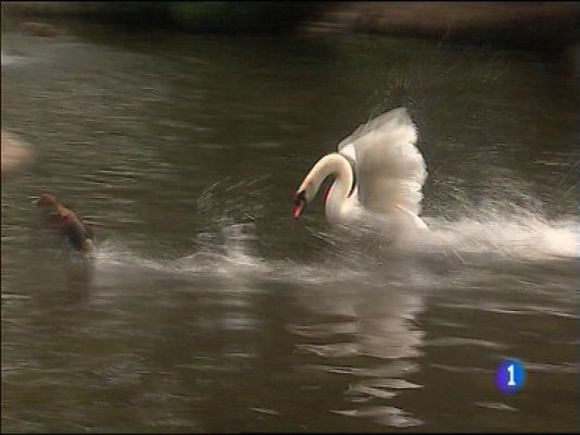 Panorama Regional - Panorama Regional 2 - 05/05/16