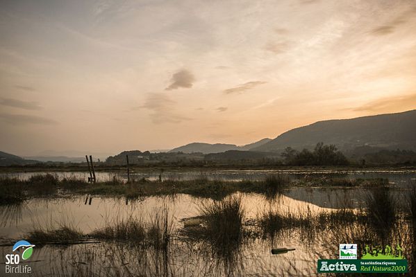 Red Natura 2000 - Zonas litorales y marismas de Urdaibai - Avance
