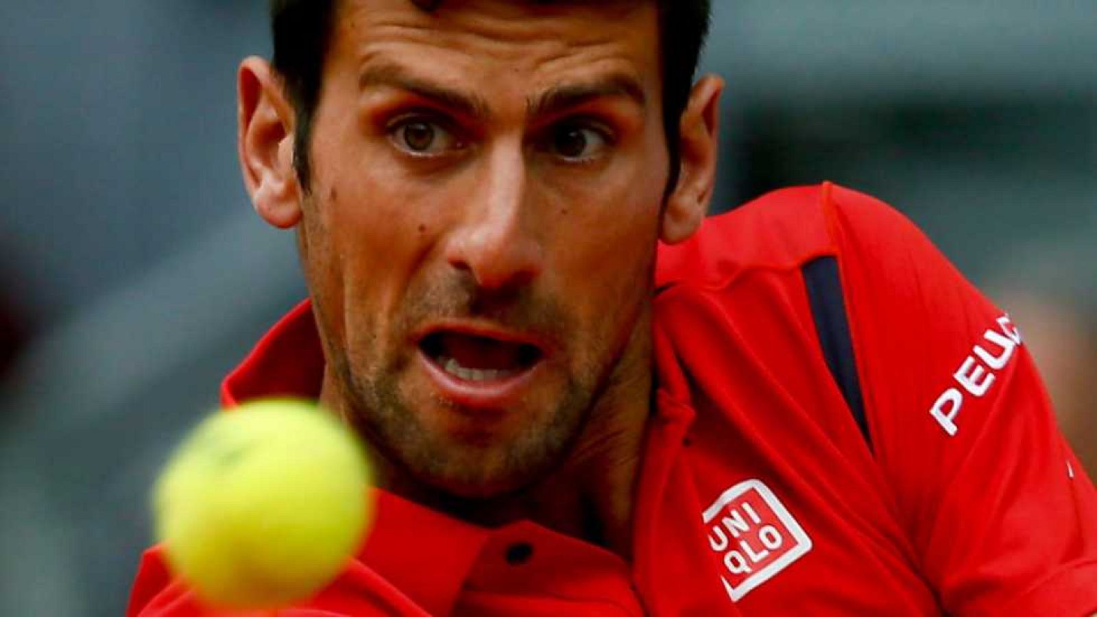 Tenis - Mutua Madrid Open 2016: Novak Djokovic vs. Roberto Bautista Agut | Ver