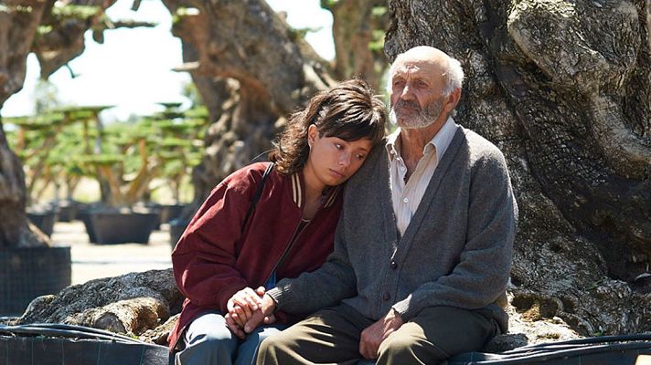 Días de cine - El olivo