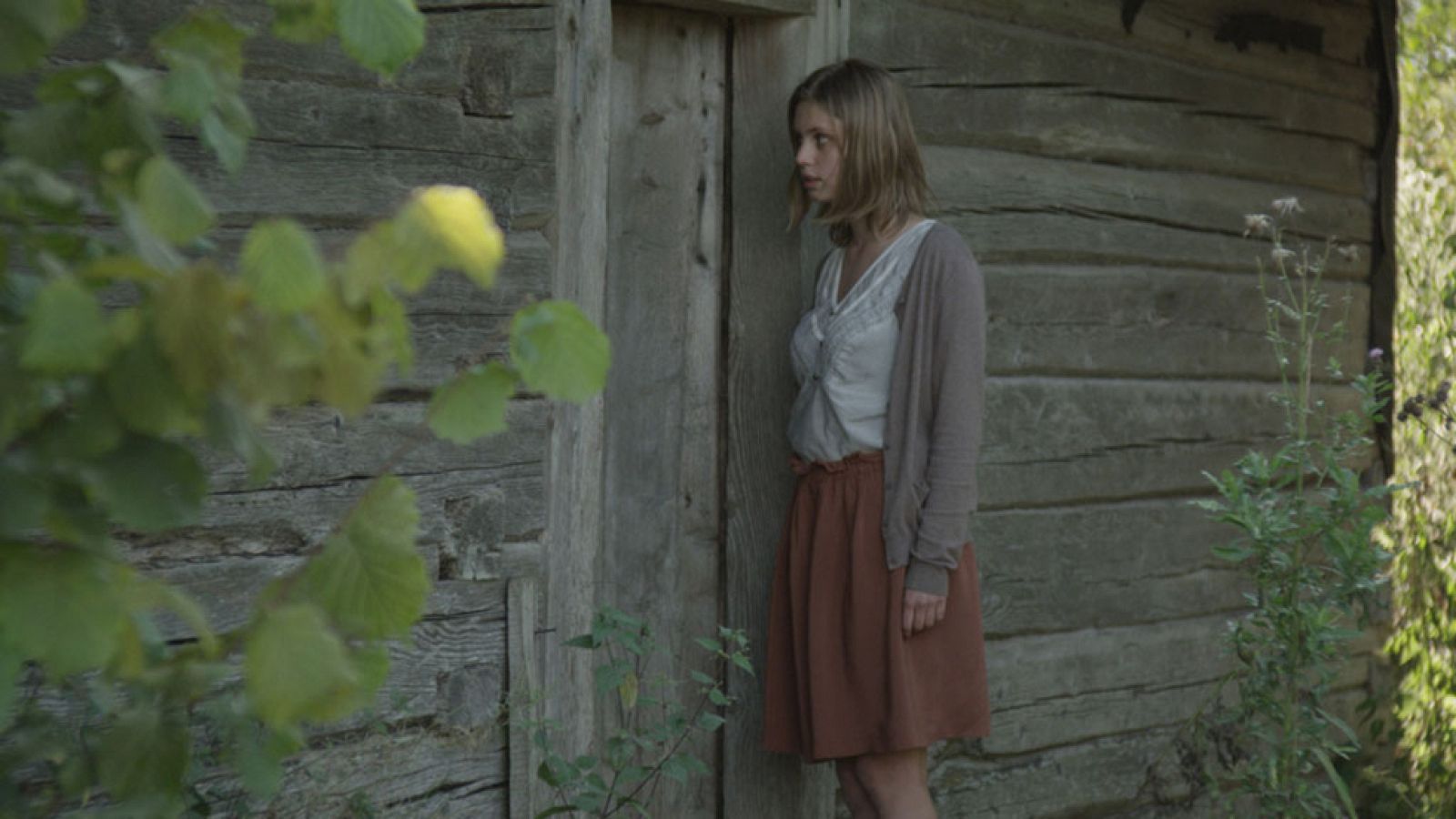 Días de cine - Peace to us in our dreams