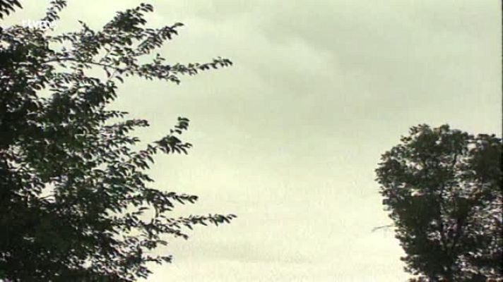 Informe Semanal - Informe Semanal - Parapléjicos, mirar al futuro