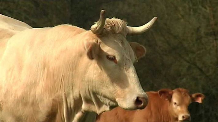 Agrosfera - Agrosfera - 07/05/16