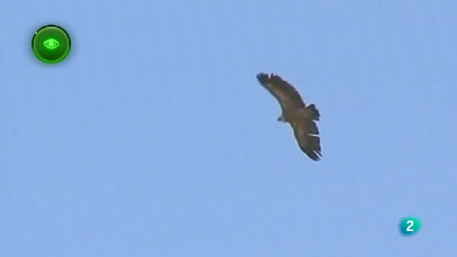 Agrosfera - En primer plano - Comedero de buitres