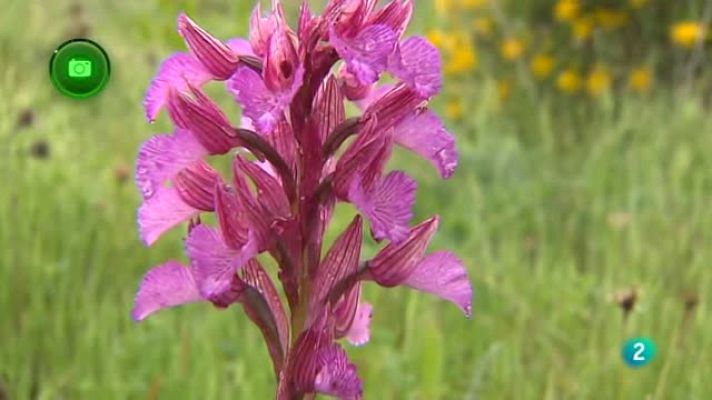 Agrosfera - Alange  (Badajoz)