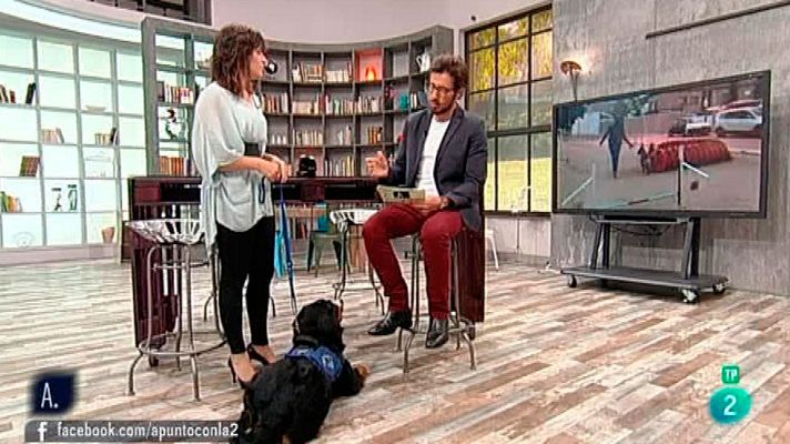 A punto con La 2 - Animales en casa - Cuando el perro tiene miedo