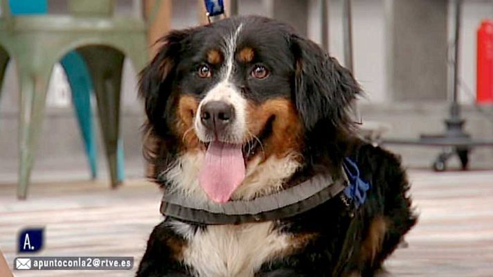 A punto con La 2 - A punto con La 2 - 09/05/16