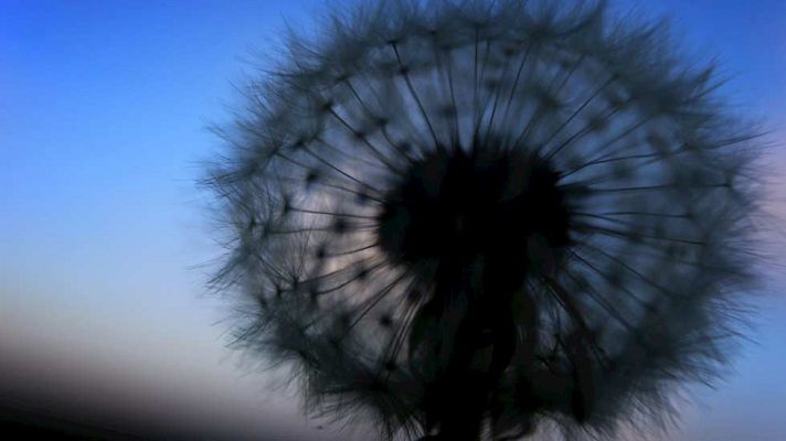 El tiempo - Lluvia y viento intenso en la mayor parte de España