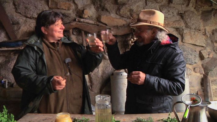 Aquí la Tierra - Una cura de primavera vegetal