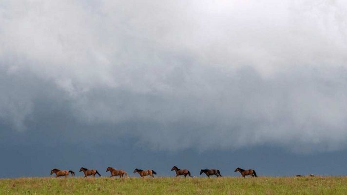 El tiempo - Lluvias más fuertes en el oeste de Andalucía y Sistema Central
