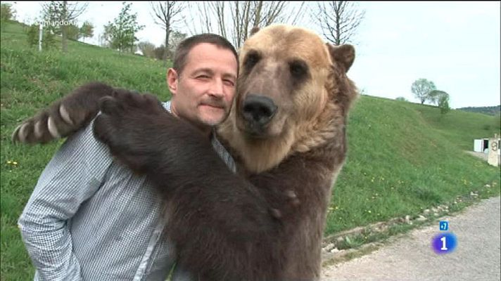 Comando Actualidad - Un oso como animal de compañía