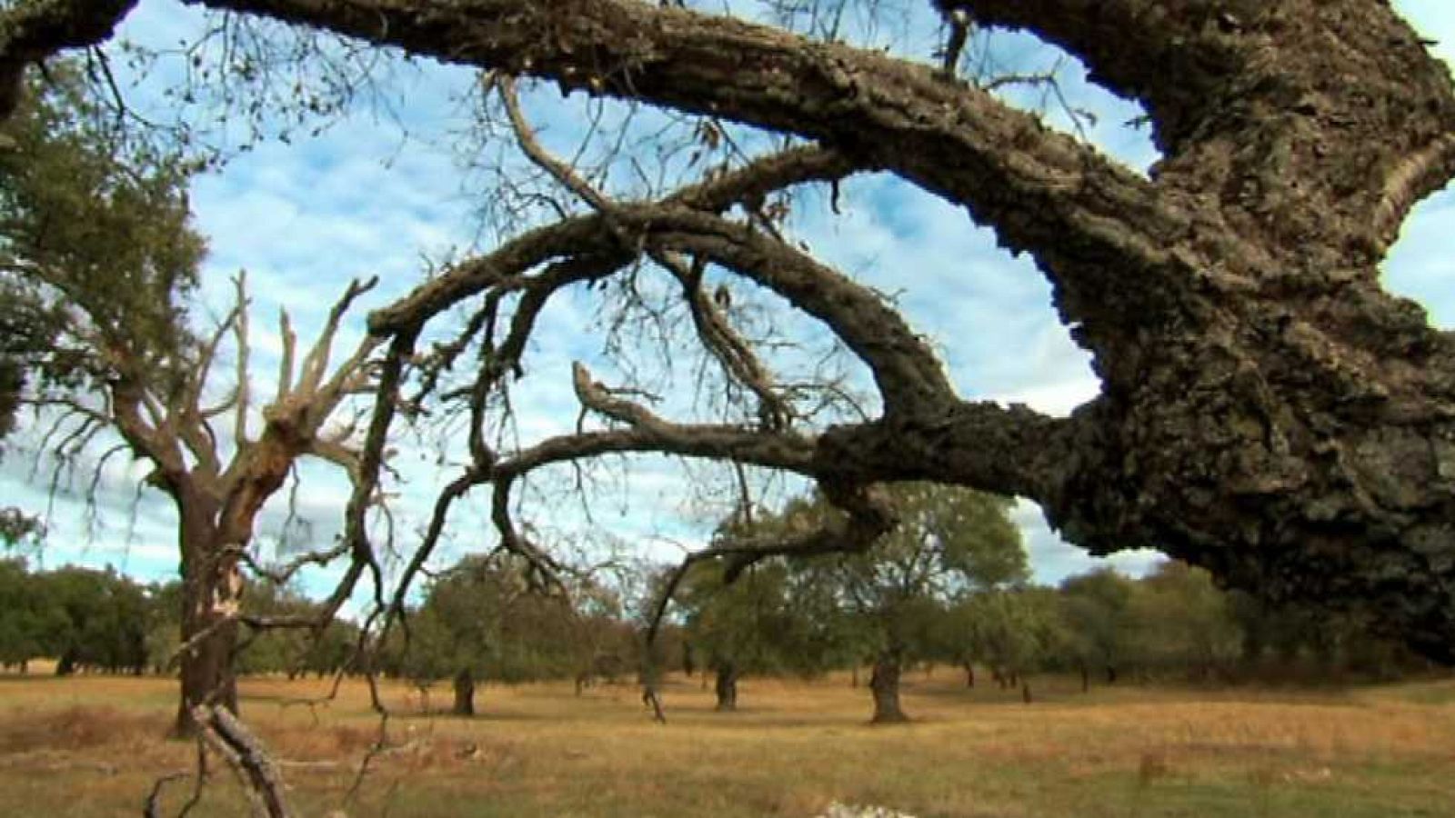 La aventura del saber - 11/05/16 - ver ahora