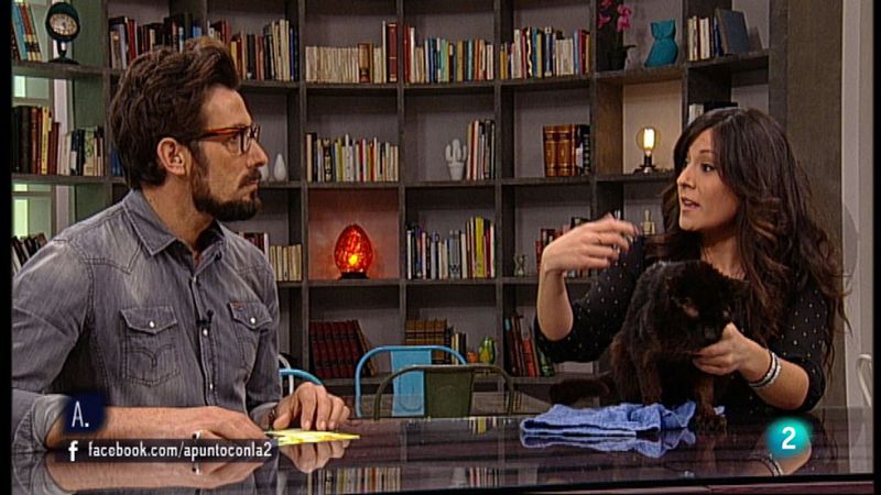 A punto con La 2 - Animales en casa - C�mo introducir un segundo gato en casa