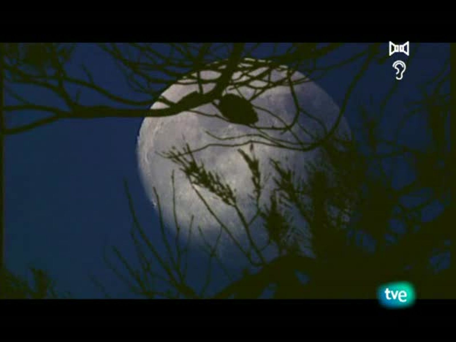 Jara y sedal - Berrea en las cumbres - Jara y sedal | Ver