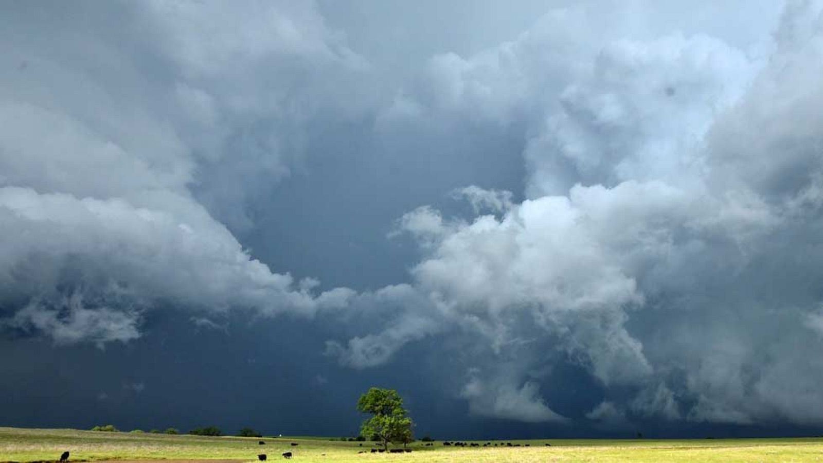 Riesgo  por lluvias, viento y fenómenos costeros