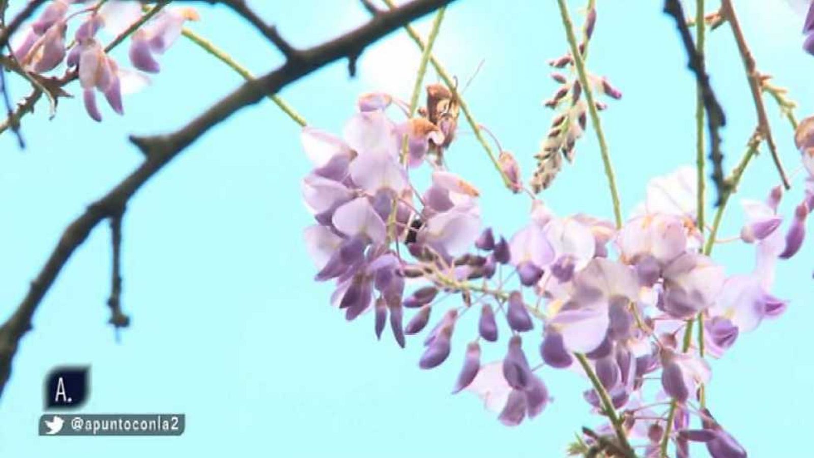 A punto con La 2 - 12/05/16 - Ver ahora