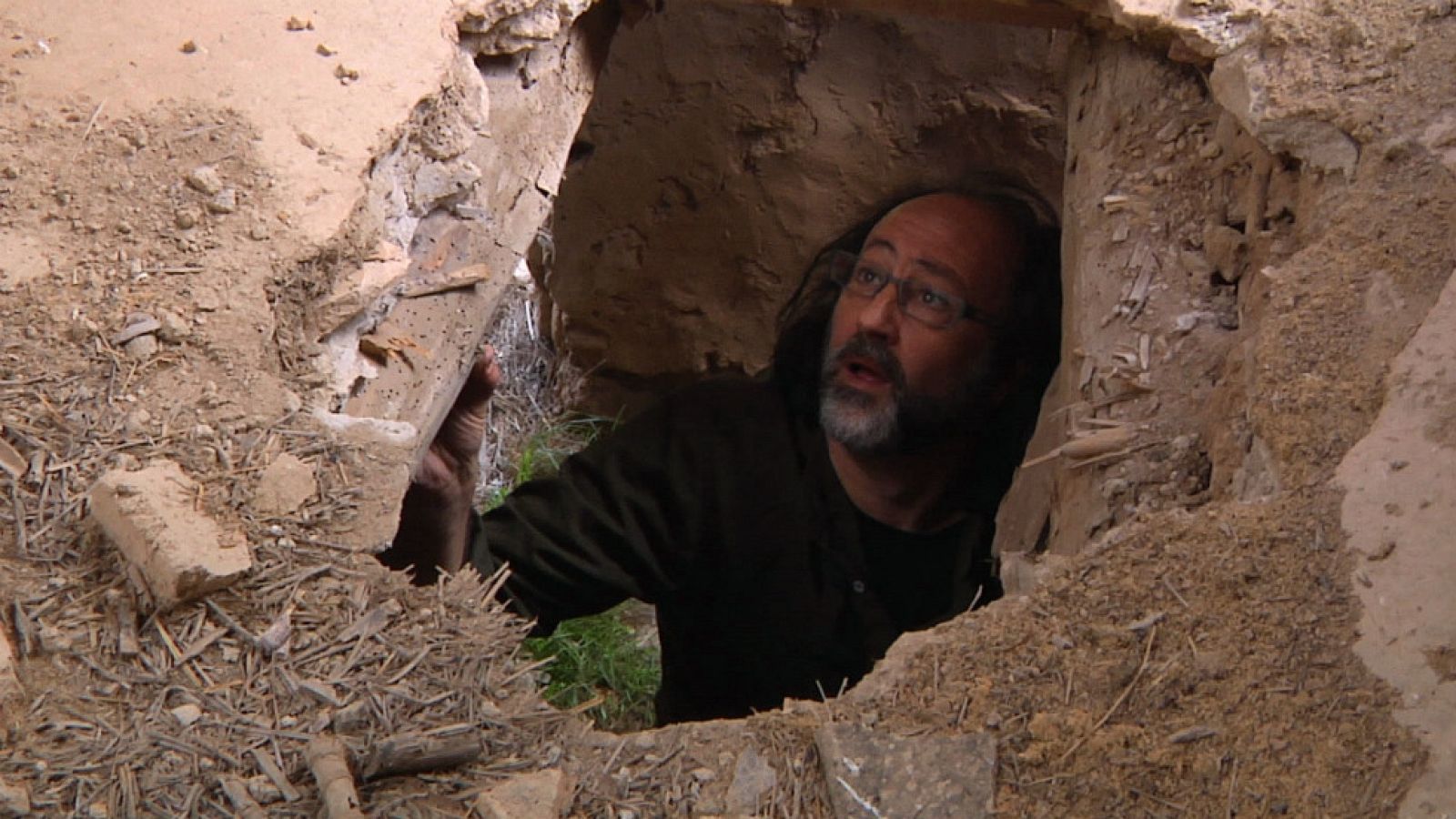 Luismi y la reina de la noche