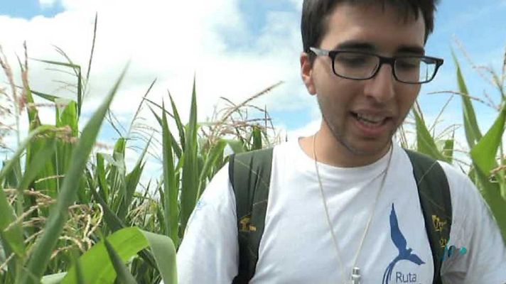 La ruta Quetzal - Flechas amarillas