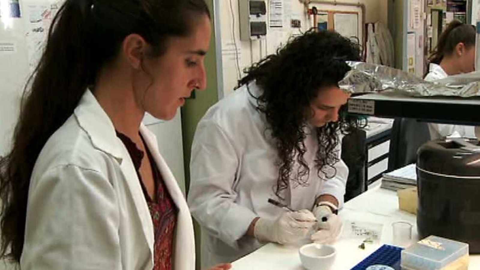 La aventura del saber - 16/05/16 - Ver ahora