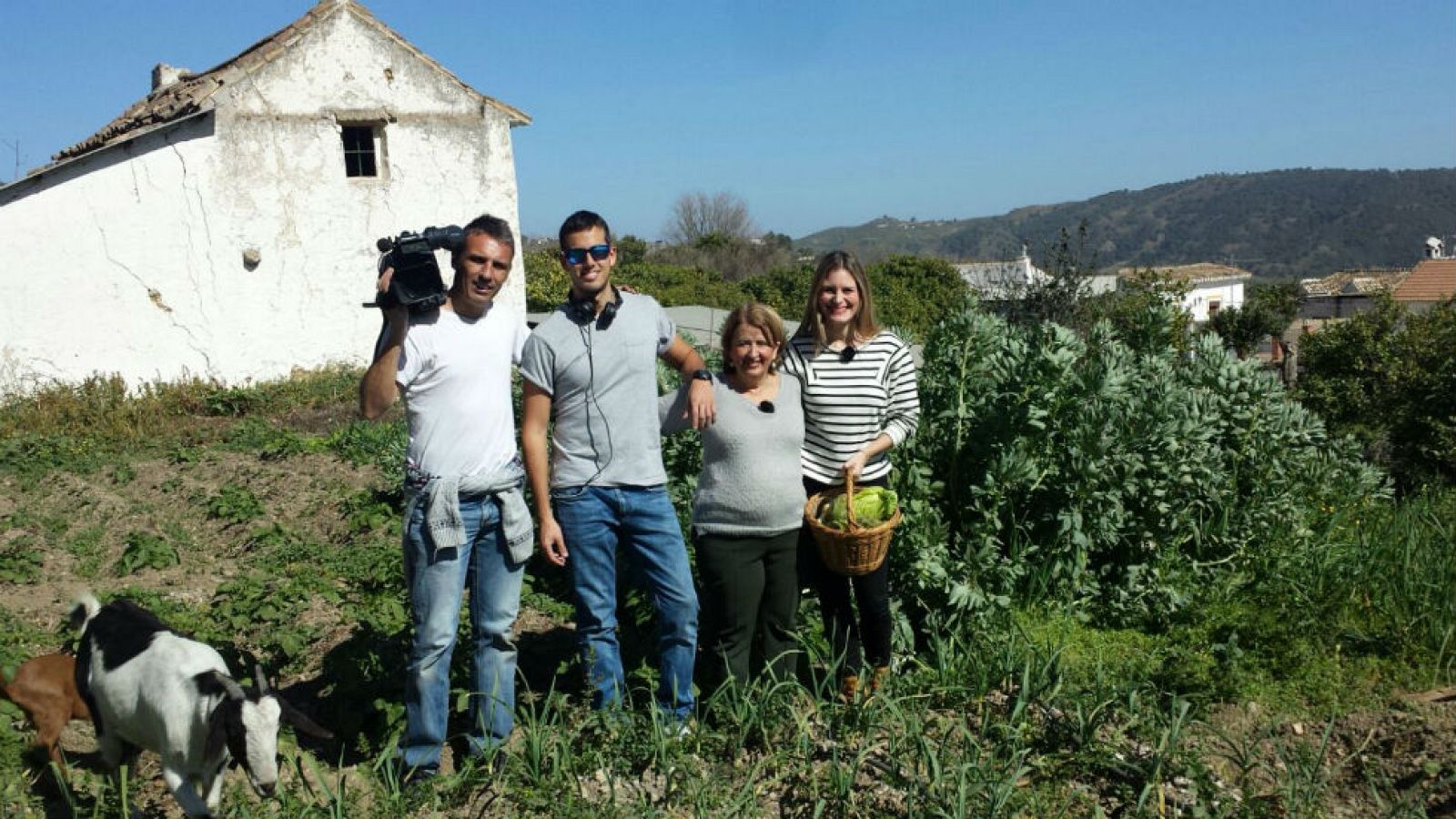 Degustamos el "pipeo"