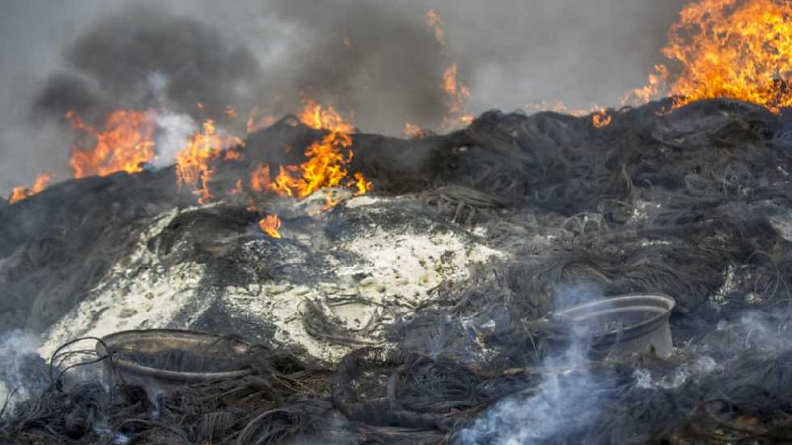 Telediario - 8 horas - 17/05/16 - ver ahora