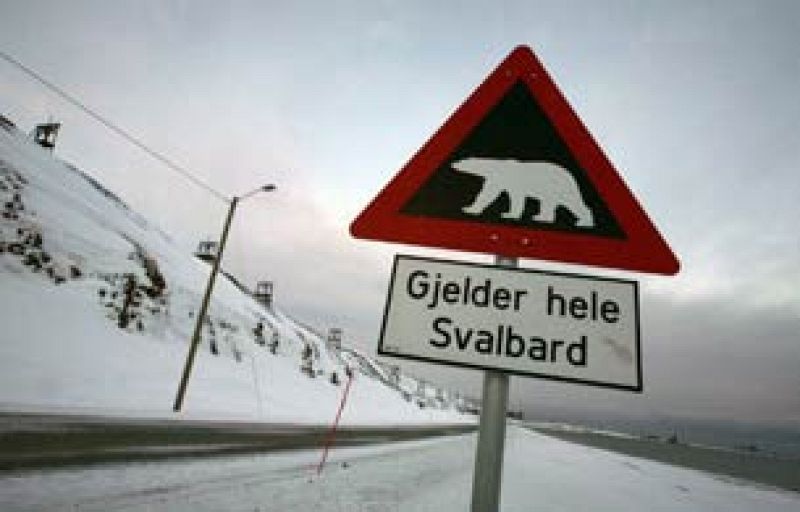El Ártico, la delgada línea blanca