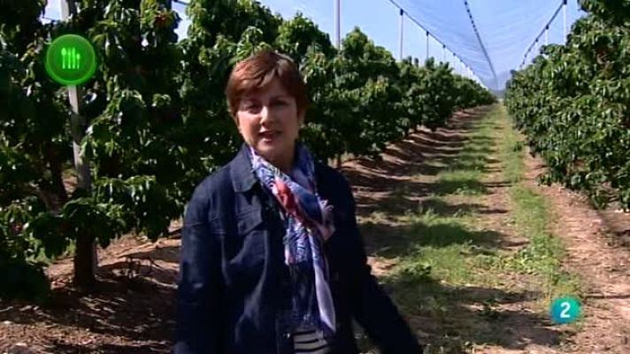 Agrosfera - Fruta de hueso