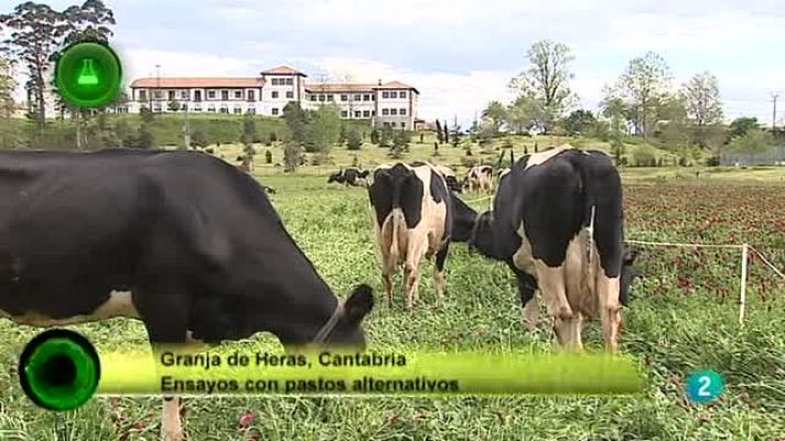 Agrosfera - Innovación en pastos