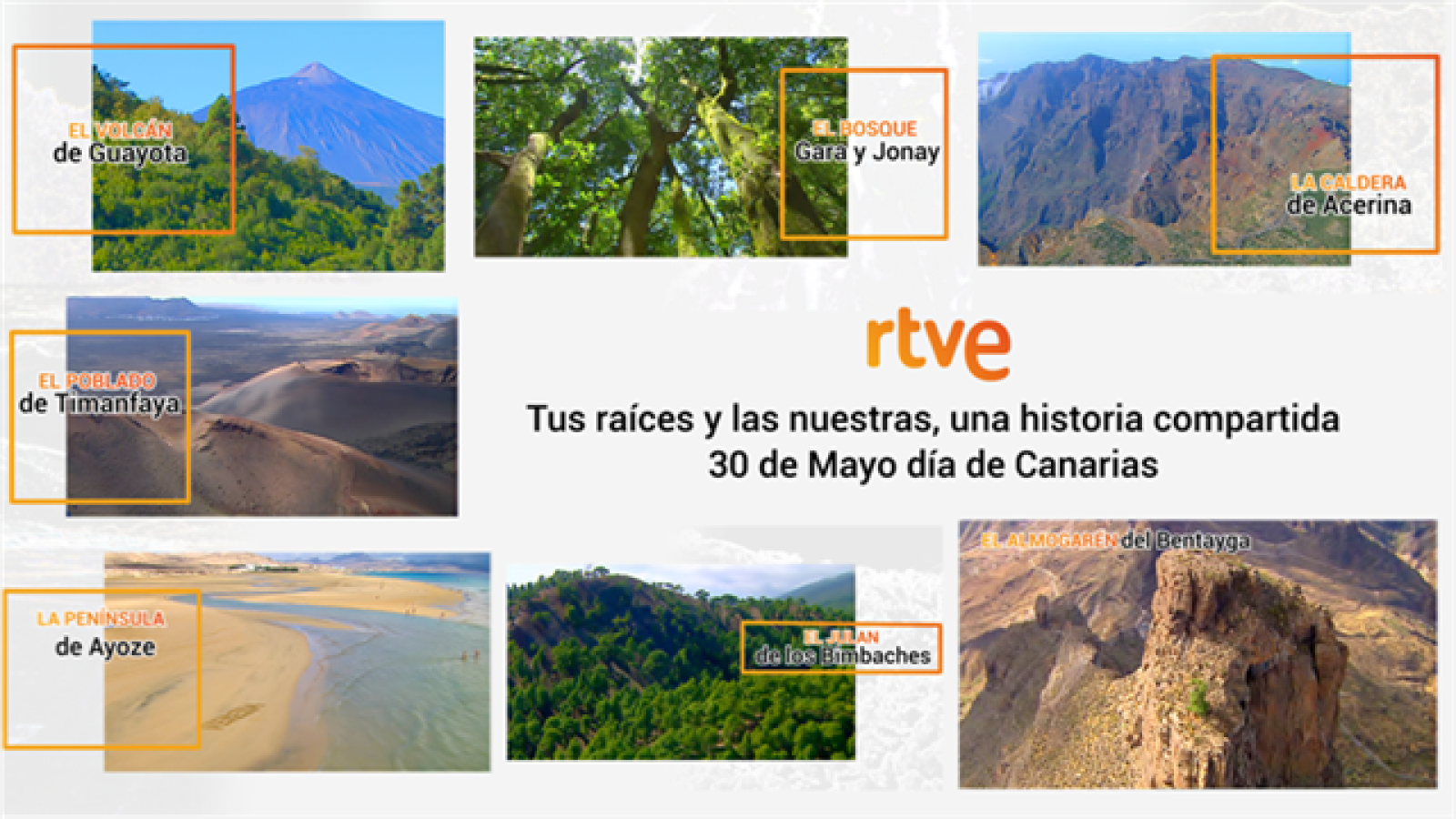 Día de Canarias | Ver