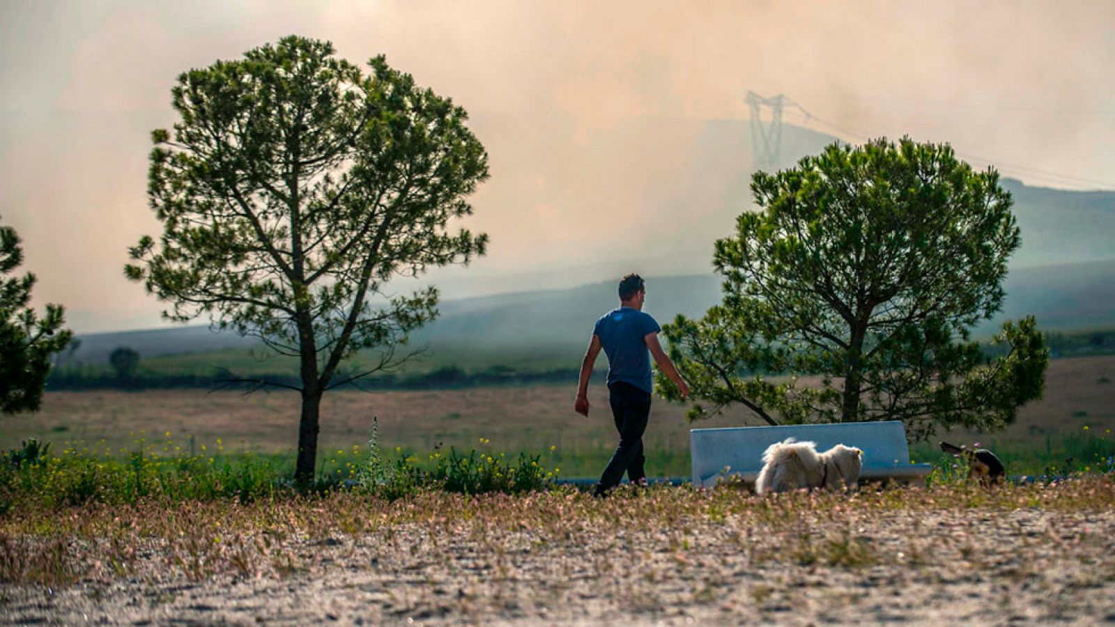 La Comunidad de Madrid en 4' - 17/05/16