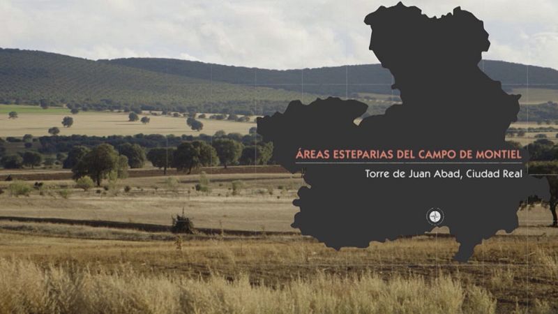 Red Natura 2000 - Áreas Esteparias del Campo de Montiel