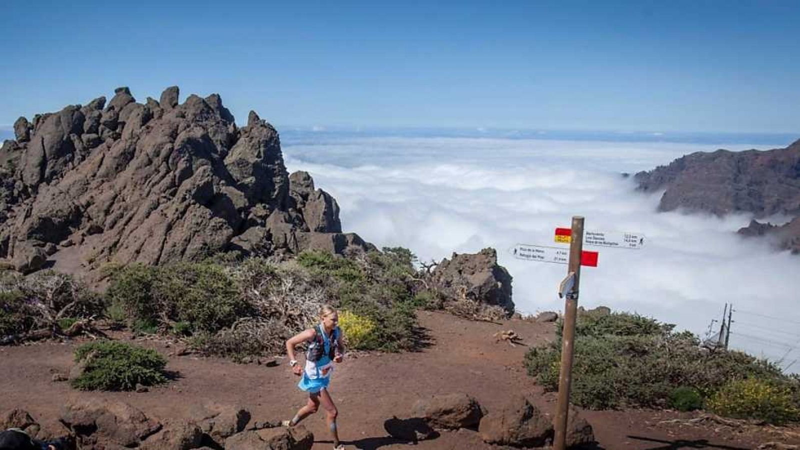 Carrera de montaña - Ultra trail "Transvulcania 2016" - ver ahora