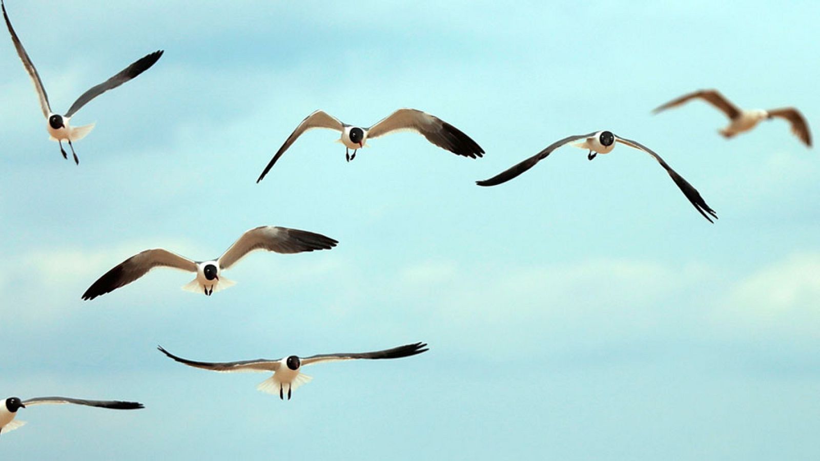 Viento fuerte en el valle del Ebro y nuboso en el norte peninsular