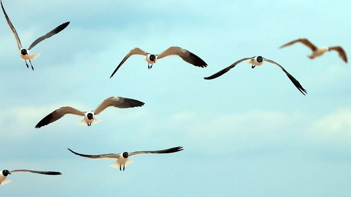 El tiempo - Viento fuerte en el valle del Ebro y nuboso en el norte peninsular