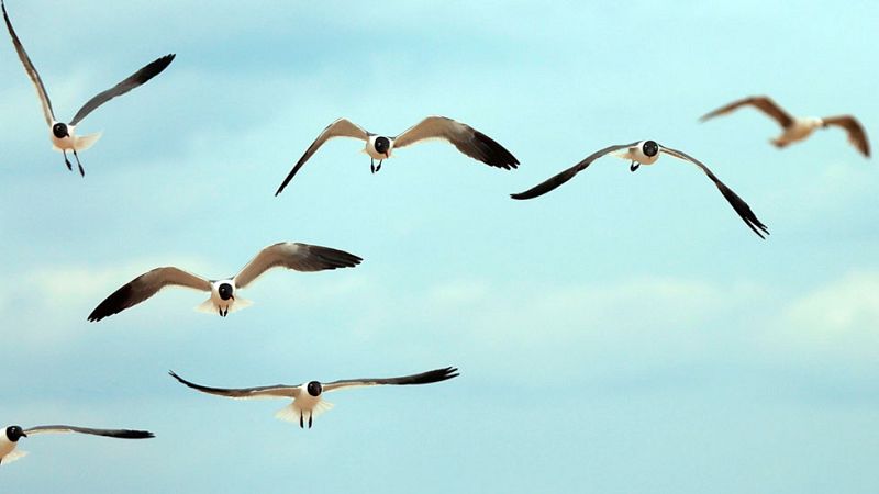 Viento fuerte en el valle del Ebro y nuboso en el norte peninsular