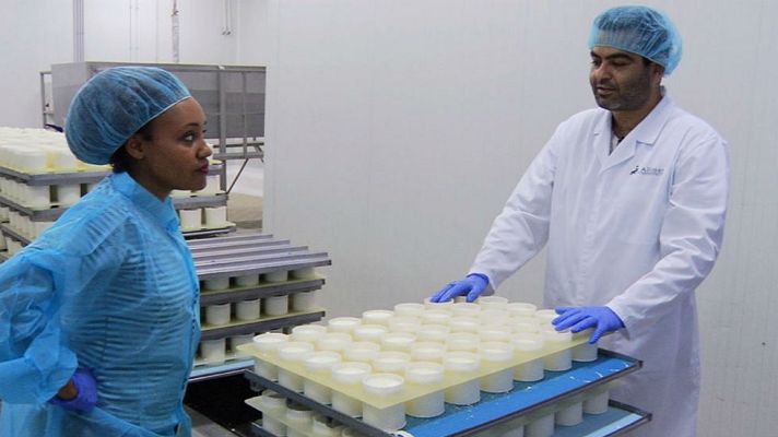 Aquí la Tierra - El súper queso