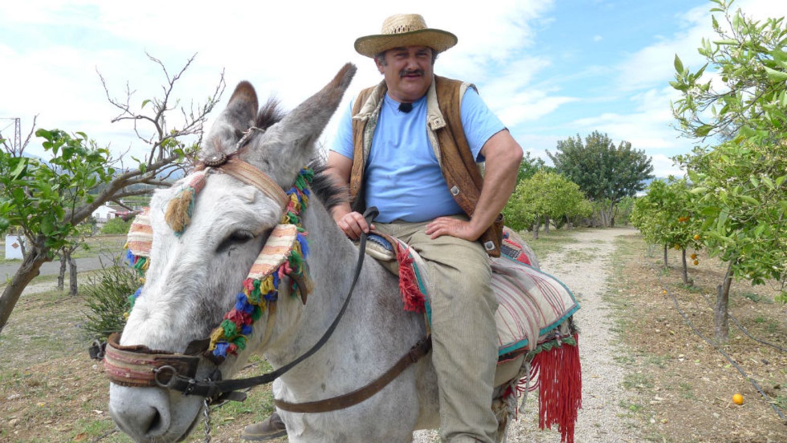 Los limones dulces de Juanito Orange