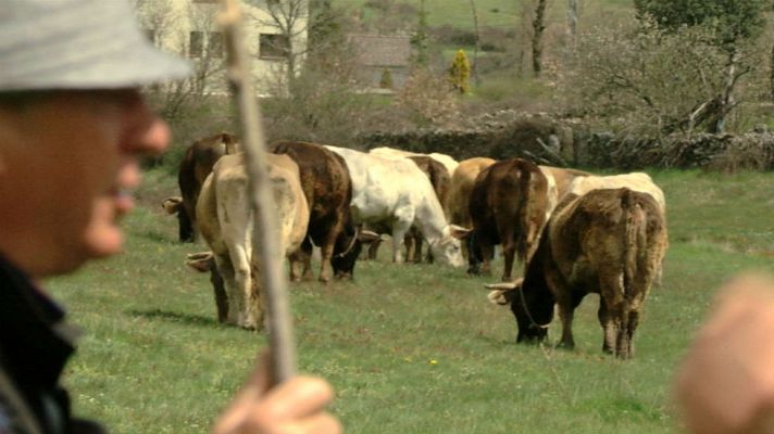 Aquí la Tierra - El potencial de la raza alistana