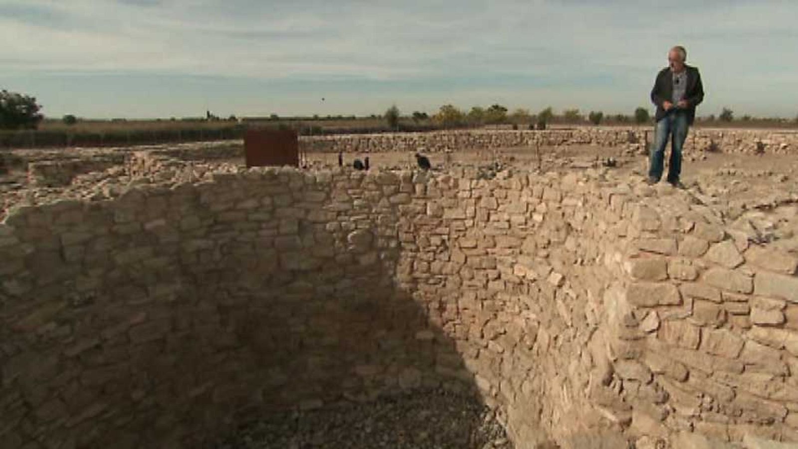 La aventura del saber - 19/05/16 - ver ahora