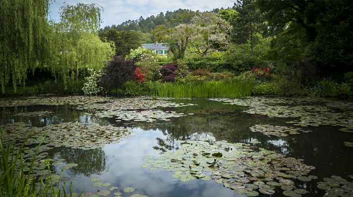 Cultura en Rtve.es - Tráiler de 'Pintando el jardín moderno: de Monet a Matisse'