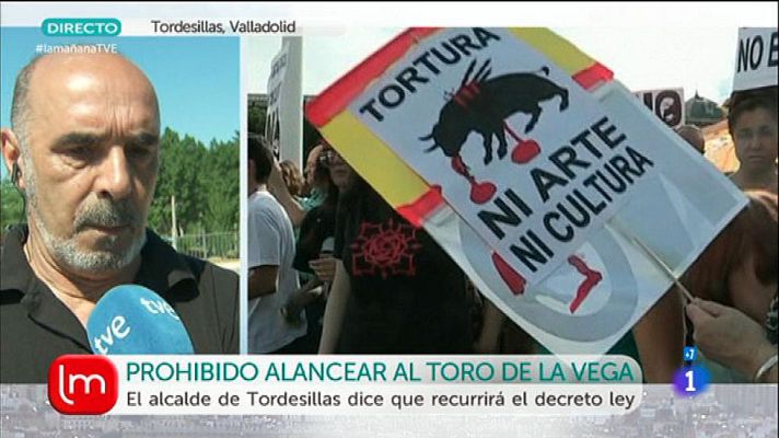 La mañana - Castilla y León prohíbe lancear y matar al Toro de la Vega