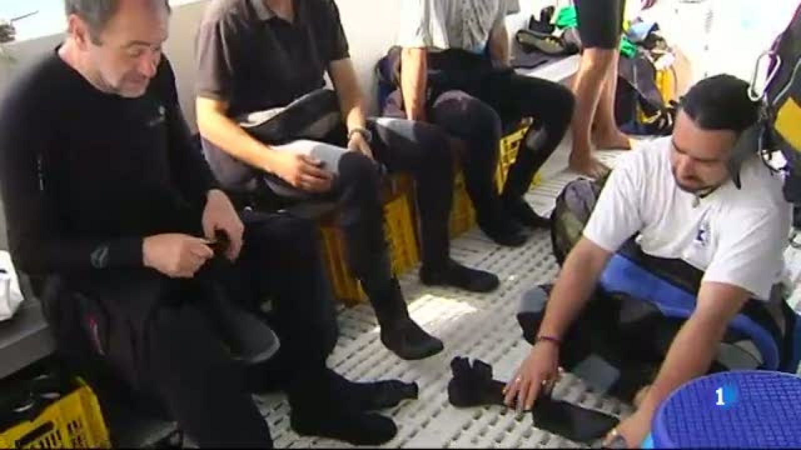 Vivim el Dia Internacional de la Biodiversitat 2016 a Torredembarra