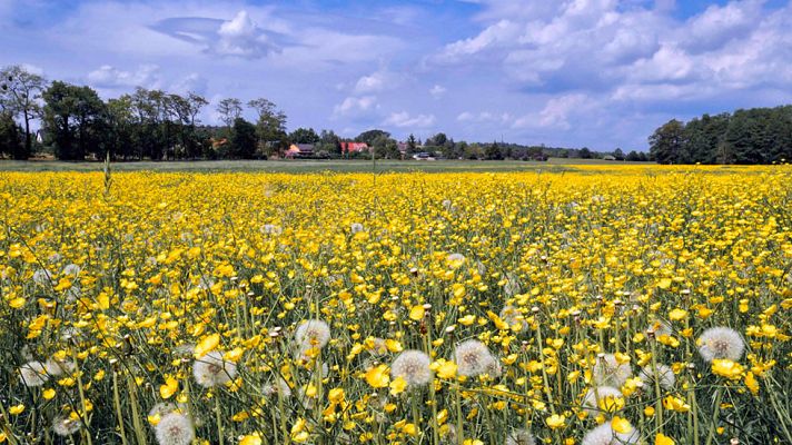 El tiempo - Predominio de cielos poco nubosos