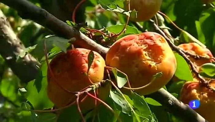 Noticias Aragón - Noticias Aragón - 23/05/16