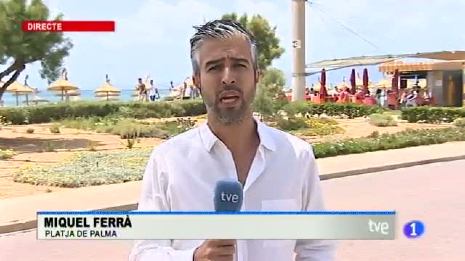 Un centenar de policies més a Palma per a l'estiu | Ver