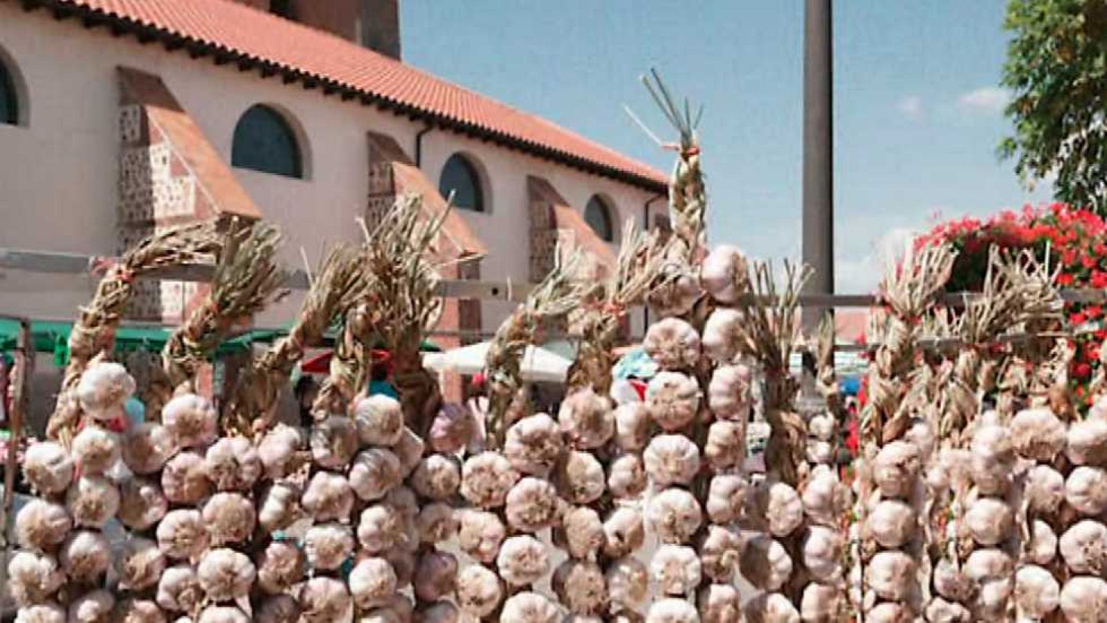 La aventura del saber - 24/05/16 - Ver ahora