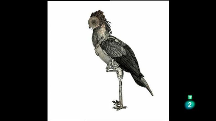 La aventura del Saber - Boek Visual: Celsius Pictor