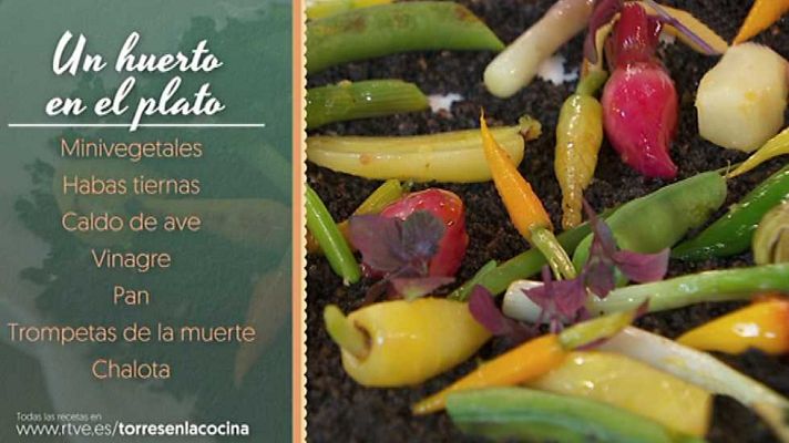 Torres en la cocina - Te llevamos al huerto